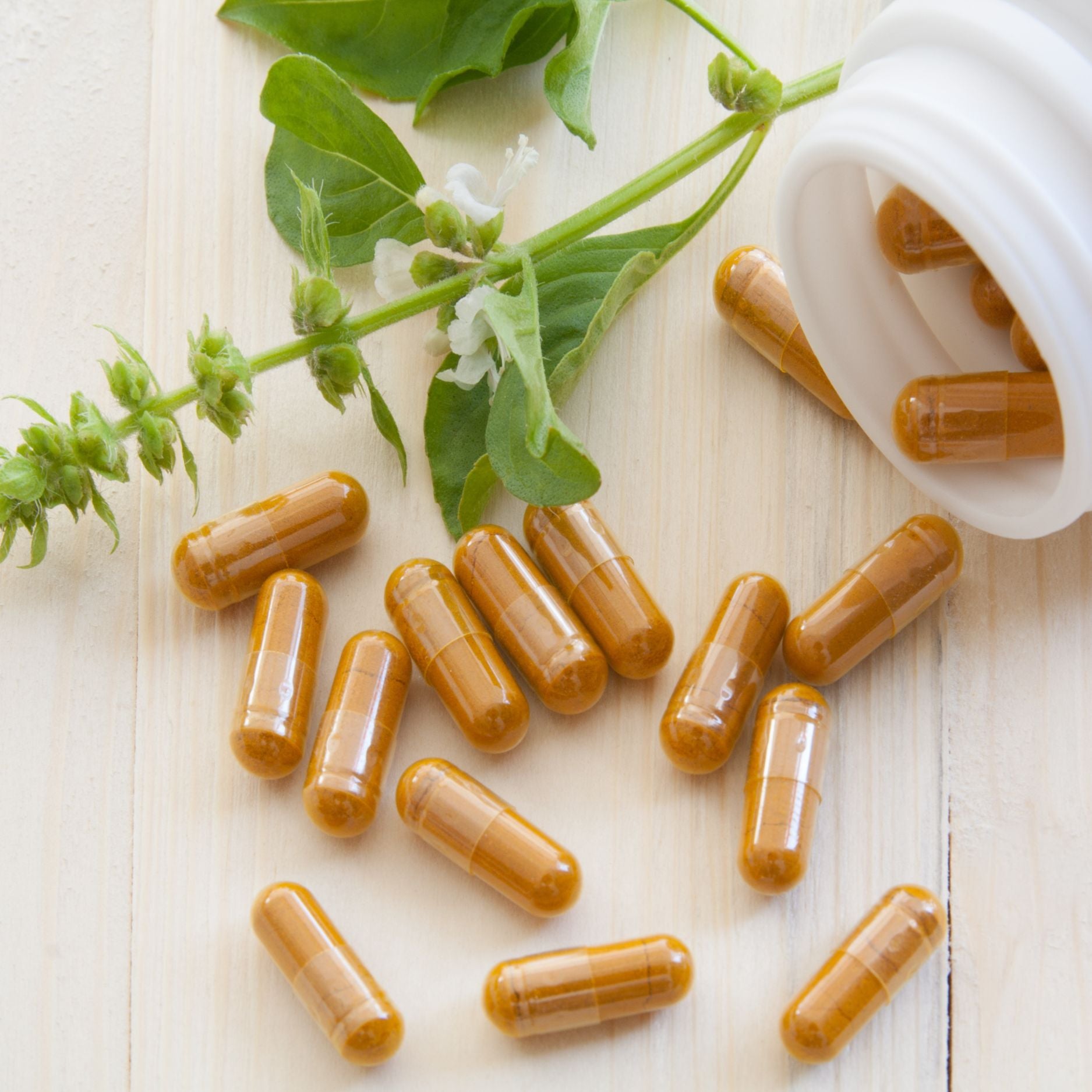 Dietary Herbals: Nutraceuticals